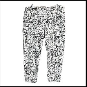 Hope & Harlow Size 16 Hi Rise White Black Women’s Cropped Stretch Pants